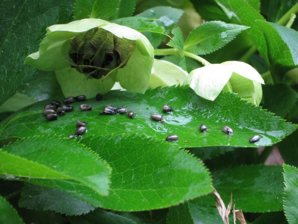 From Life Cycle to Reuse: Giving Products New Life